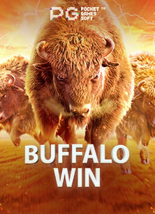 wm live casino: วิธีเล่นอย่างไรให้ชนะ